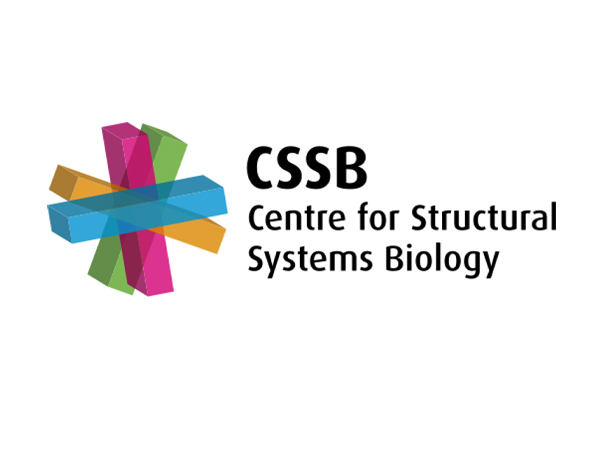 Logo CSSB